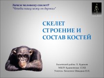 Презентация к уроку по биологии 8 класс Скелет. Строение и состав костей