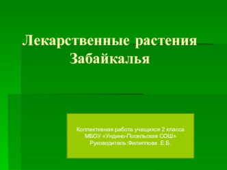 Презентация Лекарственные растения Забайкалья