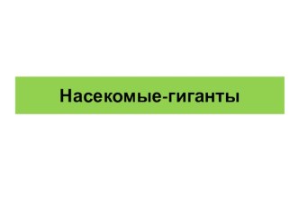 Презентация по изобразительному искусству на тему Насекомые-гиганты (2 класс)