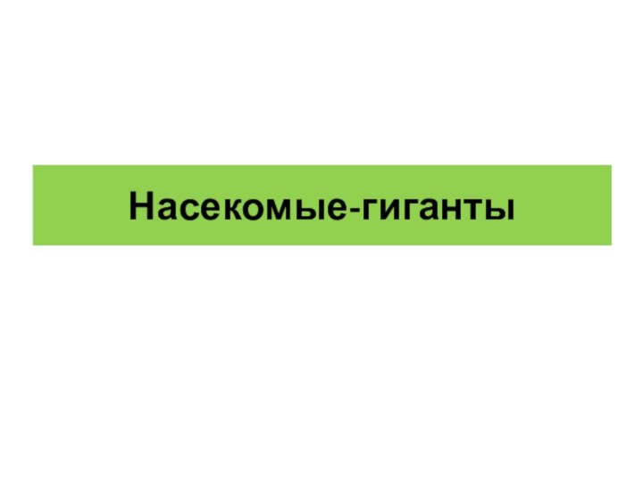 Насекомые-гиганты