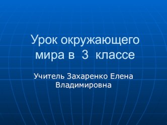 Презентация к уроку окружающего мира в 3 классе по теме Разнообразие животного мира