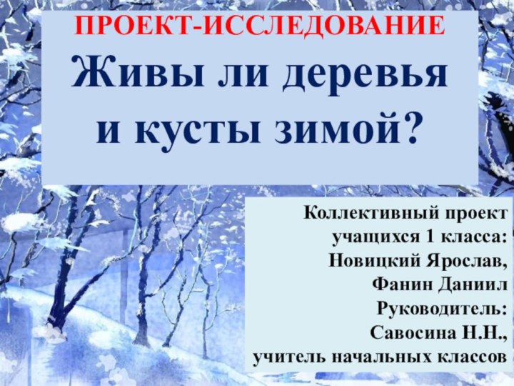 ПРОЕКТ-ИССЛЕДОВАНИЕ Живы ли деревья  и кусты зимой?  Коллективный проект учащихся 1