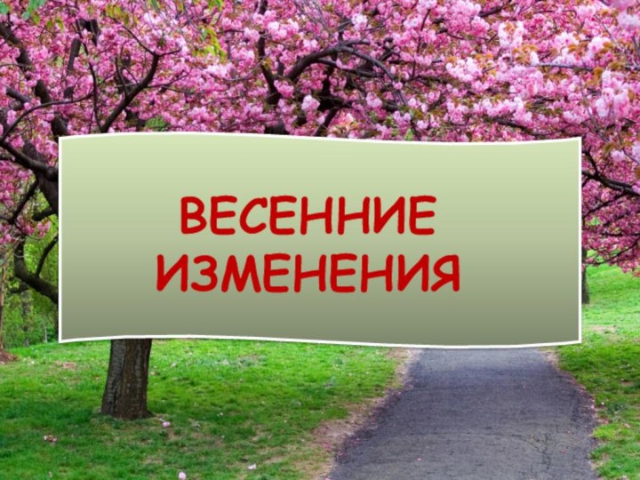 ВЕСЕННИЕ ИЗМЕНЕНИЯ