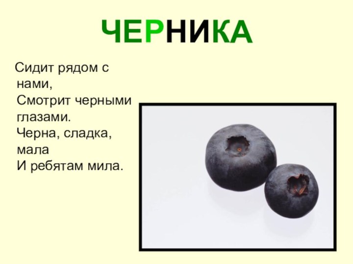 ЧЕРНИКА  Сидит рядом с нами, Смотрит черными глазами. Черна, сладка, мала И ребятам мила.