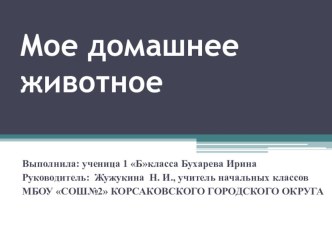 Презентация по ОКМ - 1класс Мое домашнее животное