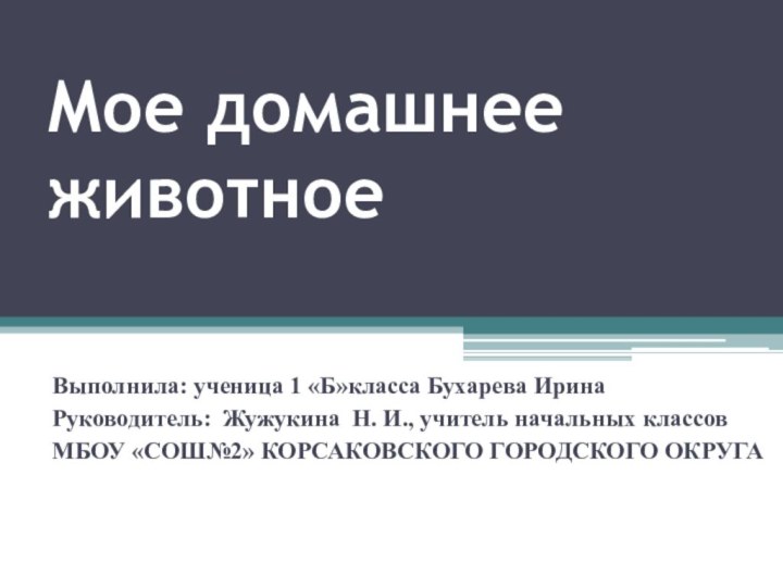 Мое домашнее животноеВыполнила: ученица 1 «Б»класса Бухарева ИринаРуководитель: Жужукина Н. И., учитель