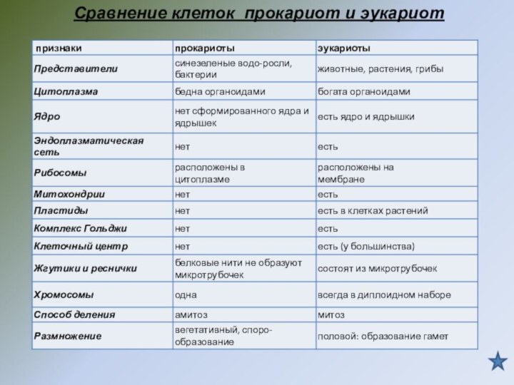 Сравнение клеток прокариот и эукариот