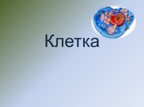 Презентация по биологии по теме : Клетка