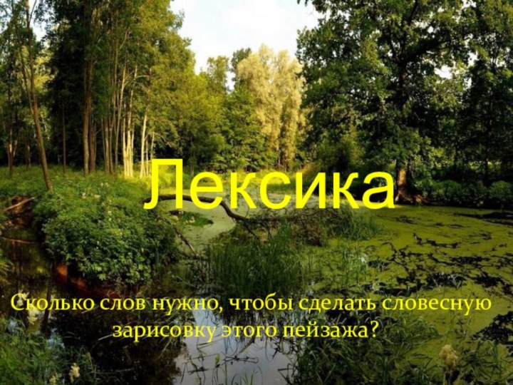 ЛексикаСколько слов нужно, чтобы сделать словесную зарисовку этого пейзажа???