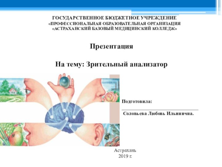 Презентация  На тему: Зрительный анализаторГОСУДАРСТВЕННОЕ БЮДЖЕТНОЕ УЧРЕЖДЕНИЕ «ПРОФЕССИОНАЛЬНАЯ ОБРАЗОВАТЕЛЬНАЯ ОРГАНИЗАЦИЯ«АСТРАХАНСКИЙ БАЗОВЫЙ