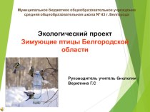 Презентация Экологический проект (зимующие птицы)