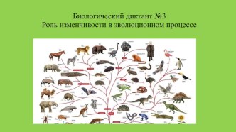 Биологический диктант по теме: Роль изменчивости в эволюционном процессе.