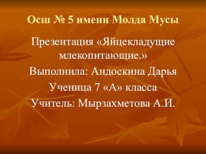 Осш № 5 имени Молда МусыПрезентация «Яйцекладущие млекопитающие.»Выполнила: Андоскина ДарьяУченица 7 «А» классаУчитель: Мырзахметова А.И.