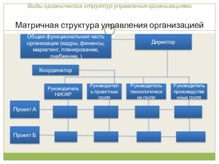 Виды органических структур управления организациями Матричная структура управления организацией