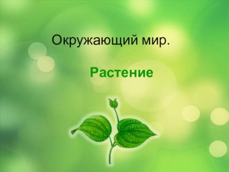 Комнатные растения 2 класс Школа России