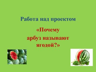 Презентация работы над проектом Почему арбуз называют ягодой?(3 класс)