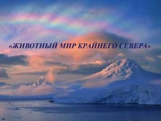 Презентация - Животный мир севера