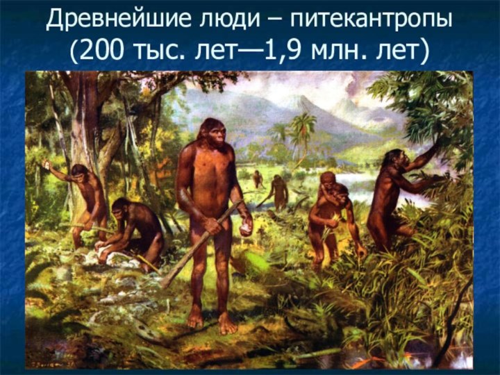 Древнейшие люди – питекантропы (200 тыс. лет—1,9 млн. лет)