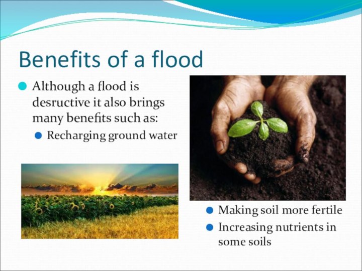 Benefits of a floodAlthough a flood is desructive it also brings many