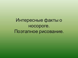 Интересные факты о носороге. Поэтапное рисование.