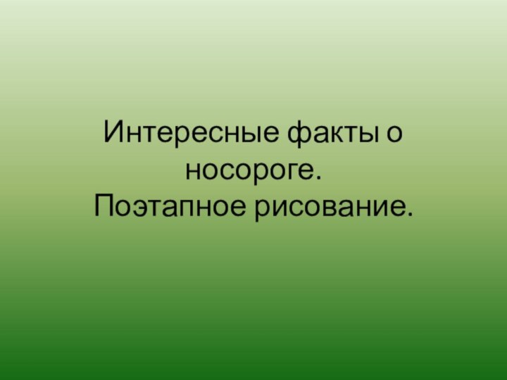 Интересные факты о носороге. Поэтапное рисование.