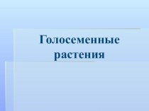 Презентация к уроку биологии в 5 классе по теме Голосеменные растения