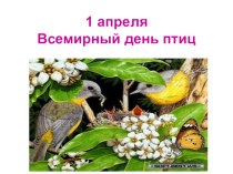 Презентация по природоведению, географии, классному часу на тему 1 апреля Всемирный день птиц