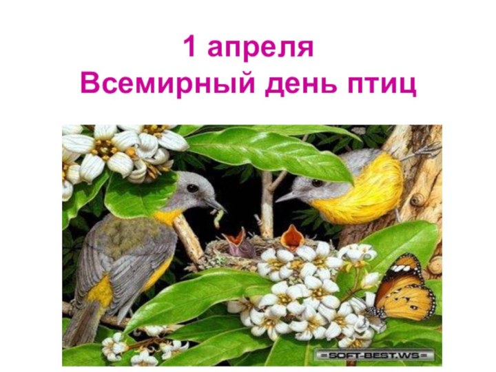 1 апреля Всемирный день птиц
