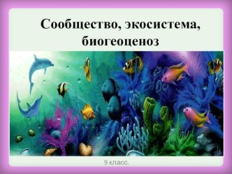 Презентация по биологии на тему Сообщество.Экосистема. Биогеоценоз (9 класс)