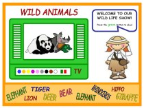 Презентация по английскому языку для повторения темы Animals (3 класс)