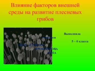 Исследовательский проект на тему: Влияние факторов внешней среды на развитие плесневых грибов