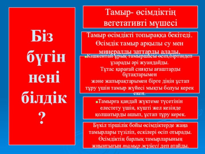 Біз бүгін нені білдік ?Тамыр- өсімдіктіңвегетативті мүшесіКішкентай ұрық тамыршасы өсіп,біртіндеп ұзарады әрі