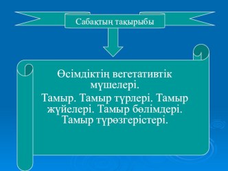 Презентация по биологии на тему тамыр