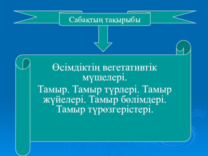 Сабақтың тақырыбыӨсімдіктің вегетативтік мүшелері.Тамыр. Тамыр түрлері. Тамыр жүйелері. Тамыр бөлімдері. Тамыр түрөзгерістері.