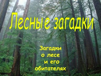 Презентация. 1 кл. Развитие речи.