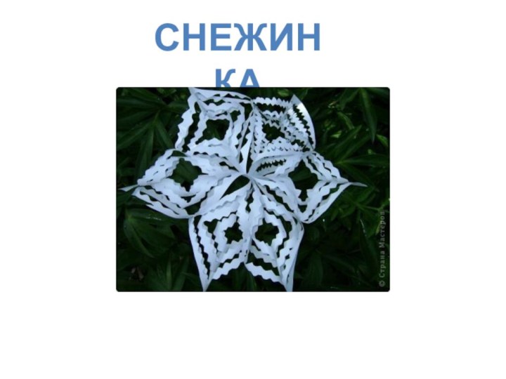 СНЕЖИНКА