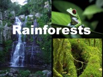 Презентация по английскому языку на тему Rainforests (10 класс)