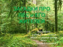 Презентация по окружающему миру на тему Проект по теме Жизнь леса