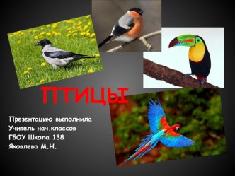 Презентация к уроку по биологии Птицы