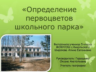 Презентация к исследовательской работе Определение первоцветов на территории школьного парка