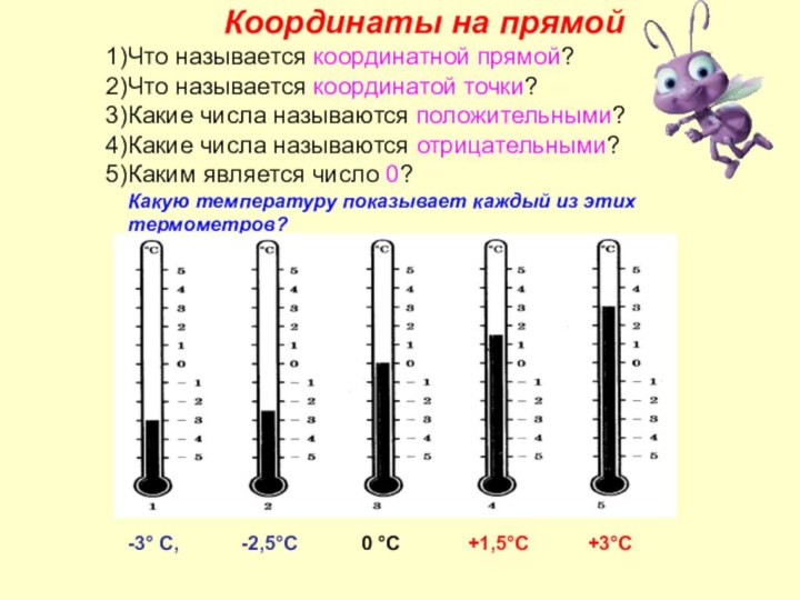 Координаты на прямойЧто называется координатной прямой?Что