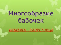 Презентация БМногообразие бабочек. Бабочка - капустница