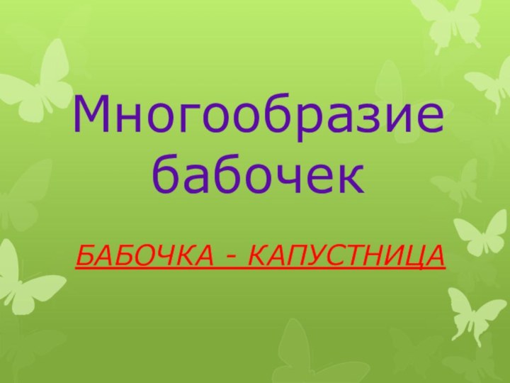 Многообразие   бабочекБАБОЧКА - КАПУСТНИЦА