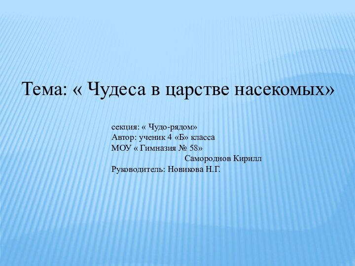 Тема: « Чудеса в царстве насекомых»						секция: « Чудо-рядом»						Автор: ученик 4 «Б» класса						МОУ