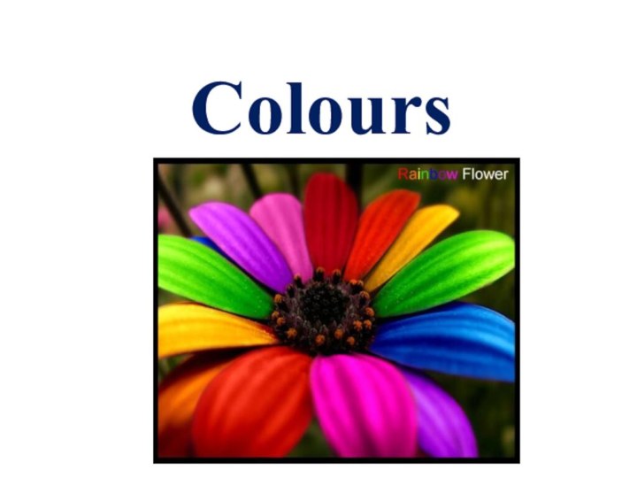 Colours