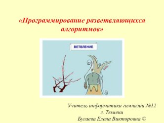 Тема урока: Программирование разветвляющихся алгоритмов. 9 класс.