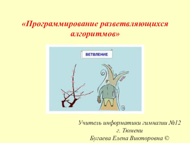 «Программирование разветвляющихся алгоритмов»Учитель информатики гимназии №12 г. ТюмениБугаева Елена Викторовна ©