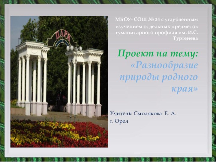 МБОУ- СОШ № 24 с углубленным изучением отдельных предметов гуманитарного