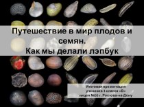 Презентация исследовательской работы Плоды и семена