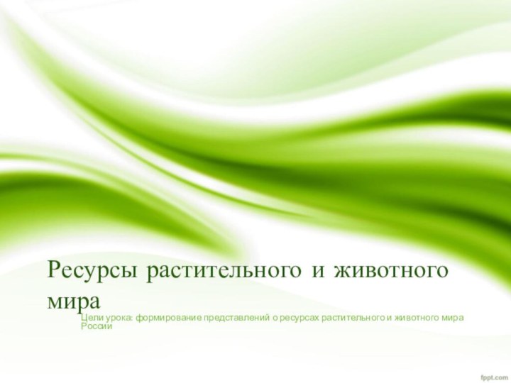 Ресурсы растительного и животного мираЦели урока: формирование представлений о ресурсах растительного и животного мира России